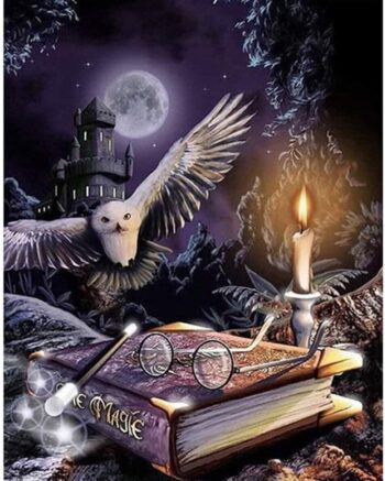 Mozaika Diamentowa Haft Sowa Harry Potter Zestaw - obrazek 5